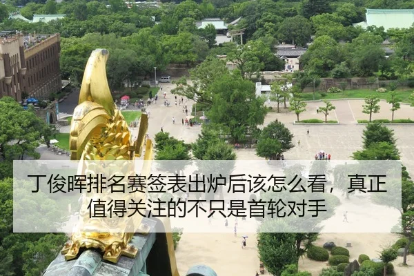 ding-jun-hui-pai-ming-sai-qian-biao-chu-lu-hou-gai-zen-me-kan-zhen-zheng-zhi-de-guan-zhu-de-bu-zhi-shi-shou-lun-dui-shou-2-538.jpg
